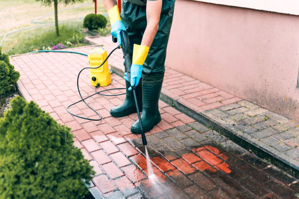 Best Pool Deck Cleaning  in Roosevelt Park, MI