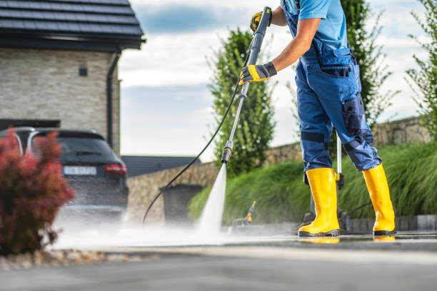 Best Solar Panel Cleaning  in Roosevelt Park, MI